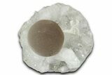 Botryoidal Purple Fluorite on Quartz - India #342377-1